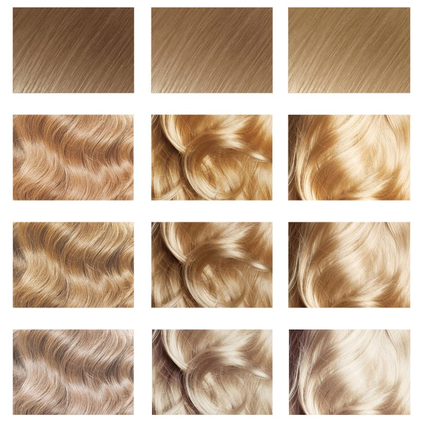 High Lift Blonde Hair Colour: Your Complete Guide