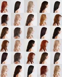 forty shades of hair color