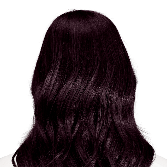 Palermo Black Rich Black Hair Color With Hints Of Aubergine
