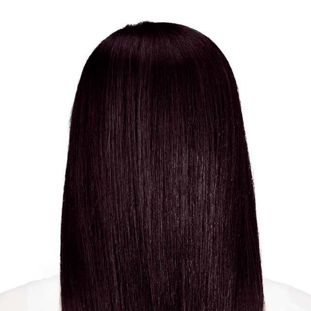Palermo Black Rich Black Hair Color With Hints Of Aubergine