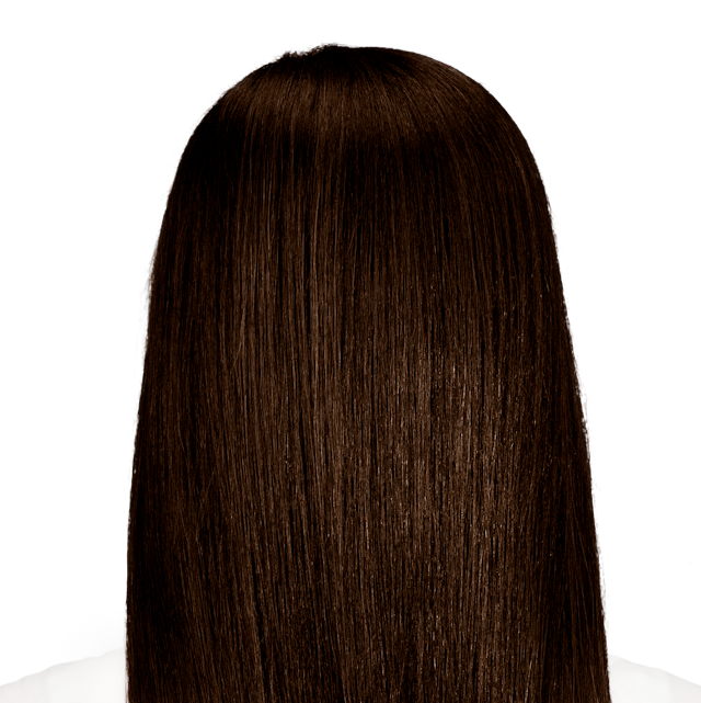 Barletta Brown True Dark Brown Hair Color For Maximum Gray Coverage