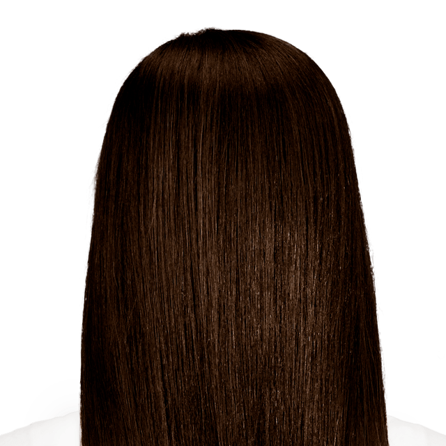 Barletta Brown True Dark Brown Hair Color For Maximum Gray Coverage