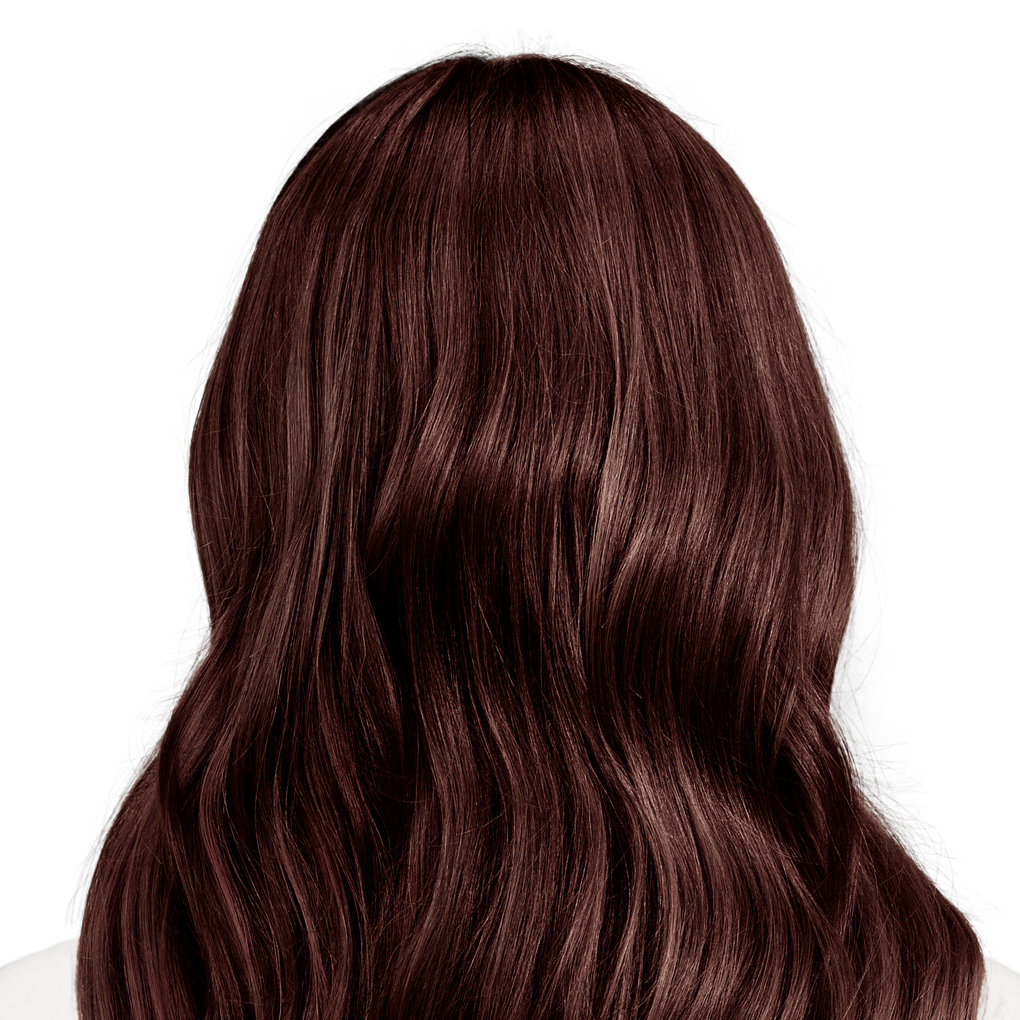Modena Brown True Medium Brown Hair Color For Maximum Gray Coverage
