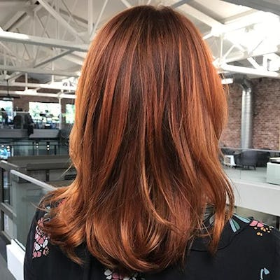 Warm Hair Color with Canella Gloss