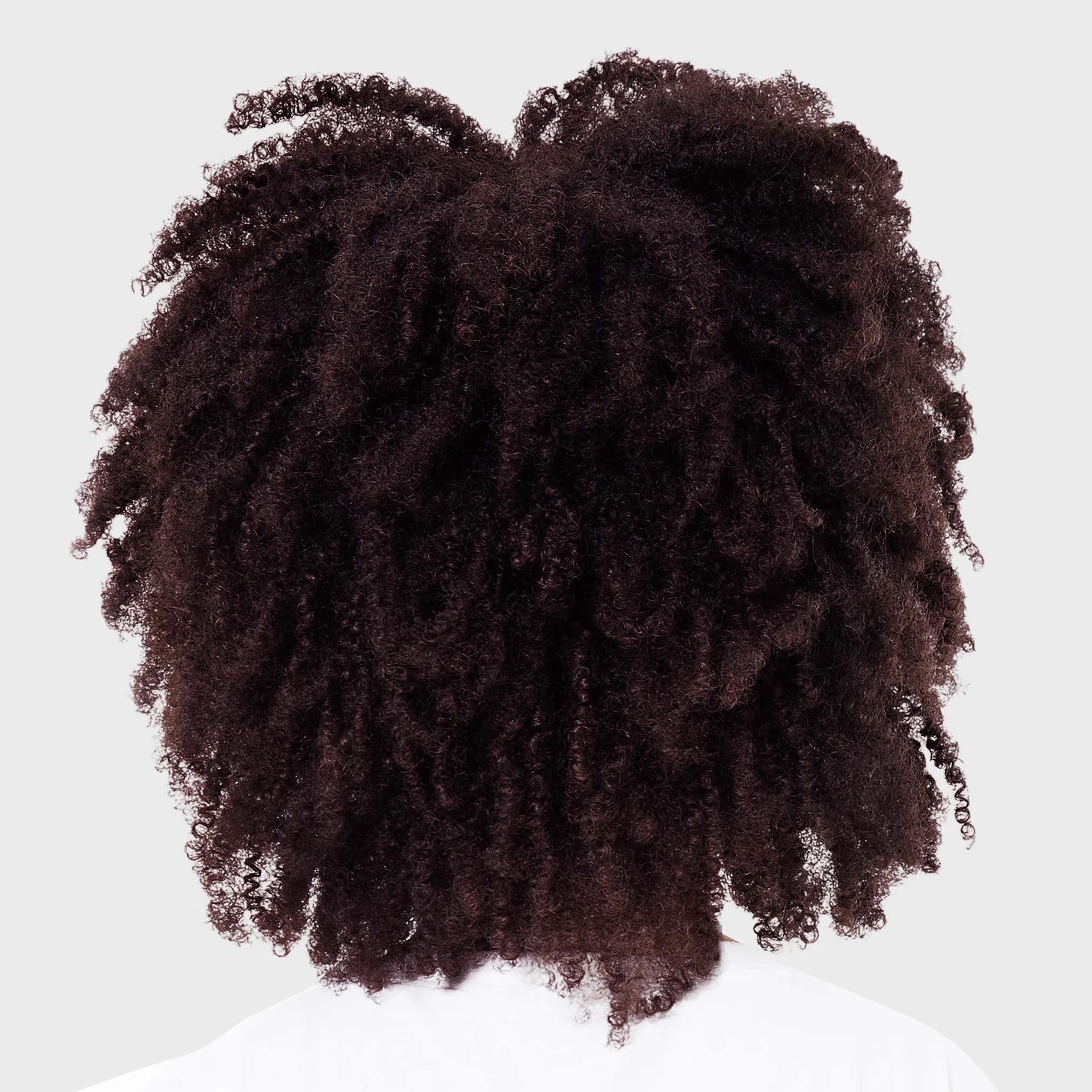 my burberry black hondos center