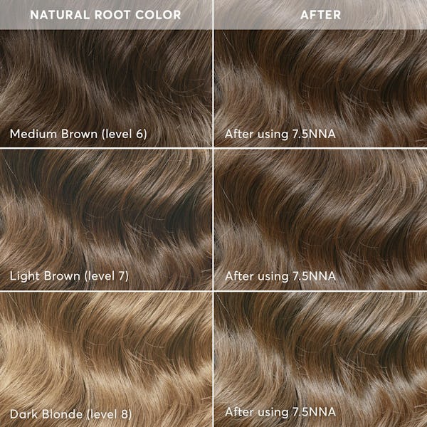Umbria Light Neutral Brown - 7.5NNA - Light Neutral Brown Hair 