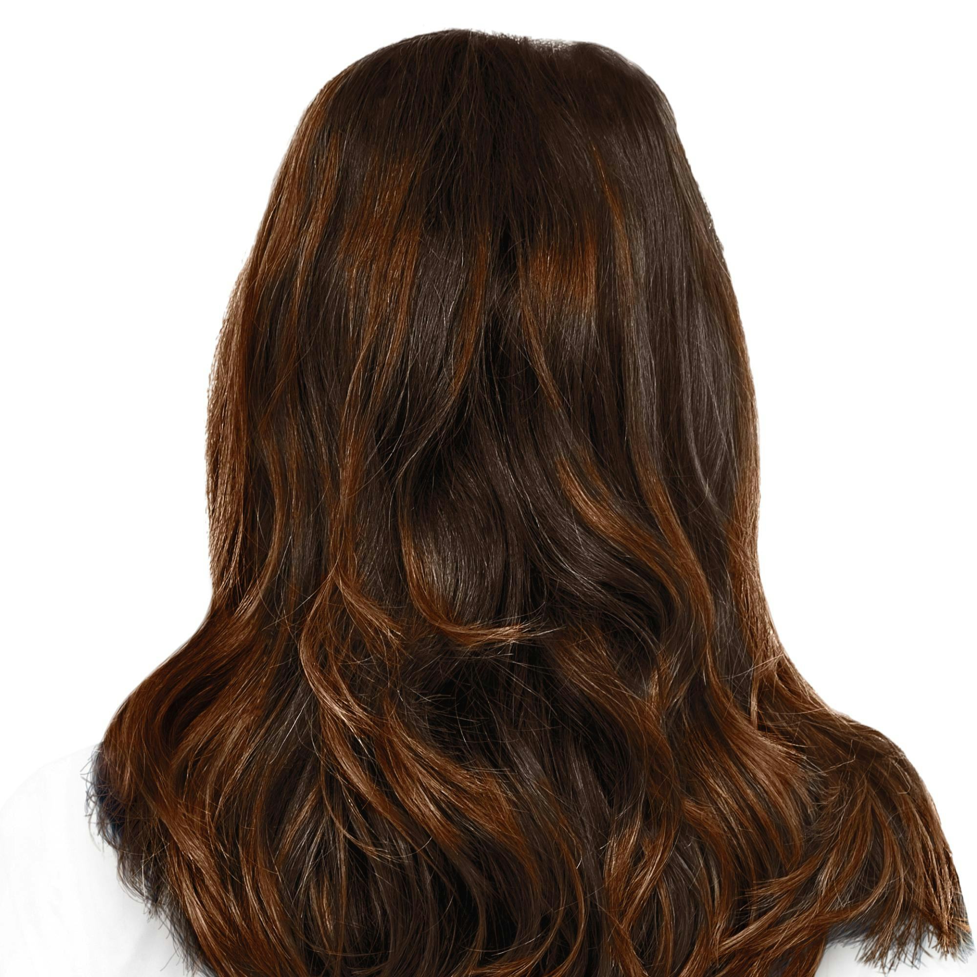 Ardenza Warm Caramel Light Works Balayage Kit Backie