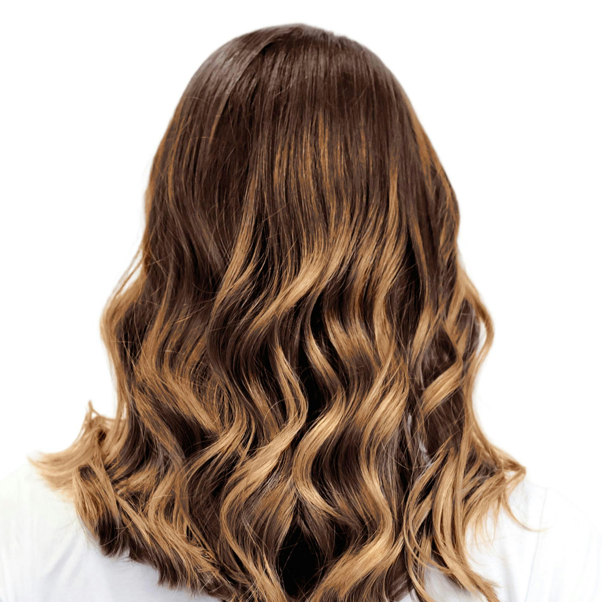 Palmi Warm Honey Light Works Balayage Kit Backie